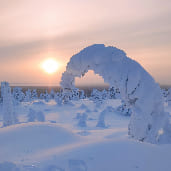 Parc riisintunturi finlande hiver